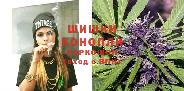 шишки Богородск