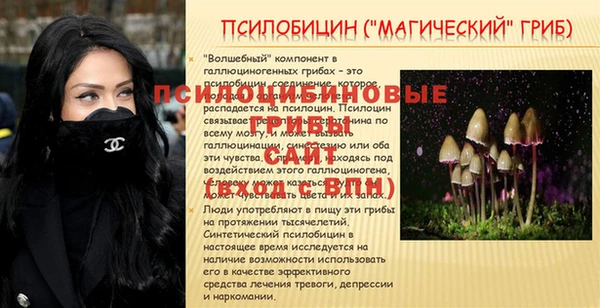 шишки Богородск