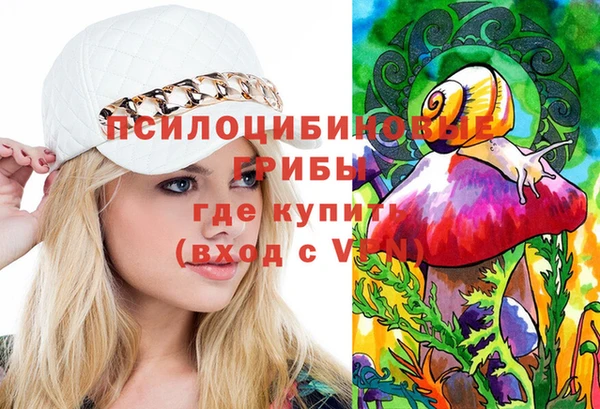 спиды Богородицк