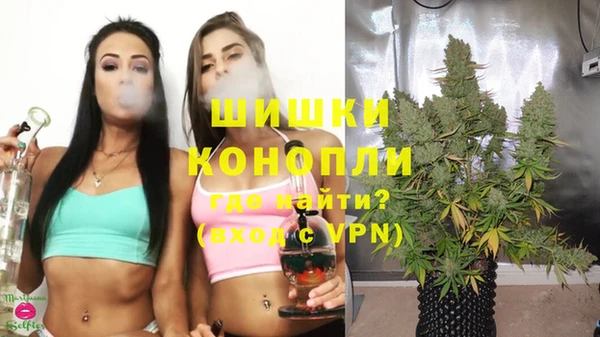 шишки Богородск