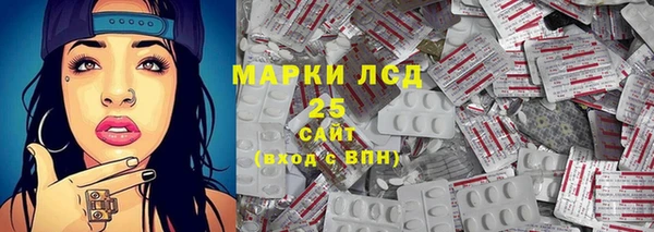 спиды Богородицк