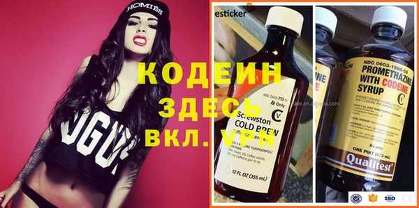 спиды Богородицк