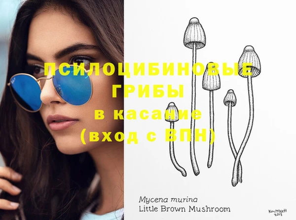 MESCALINE Богданович