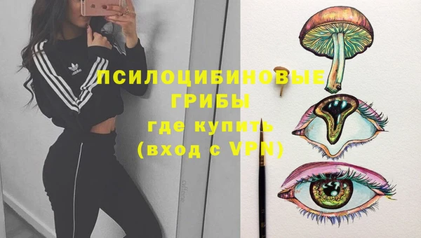 шишки Богородск