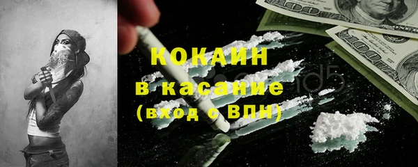спиды Богородицк