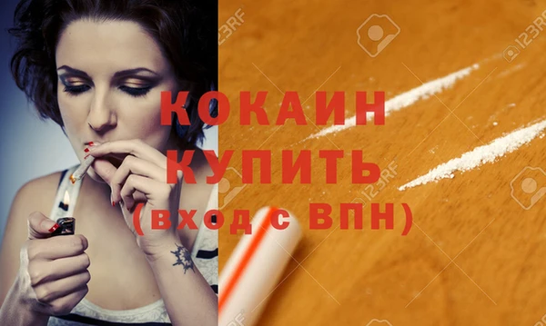 шишки Богородск